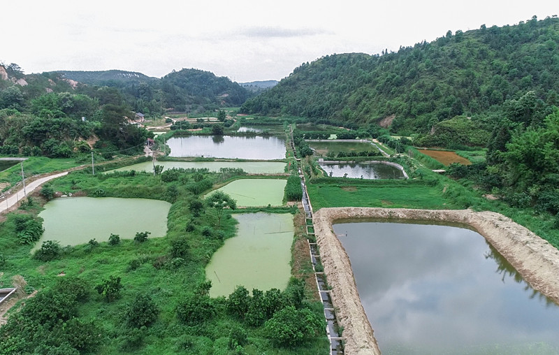 養(yǎng)魚基地